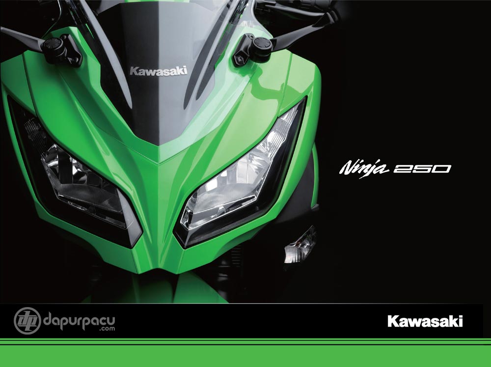 カワサキ 2013年モデル Ninja 250 Special ショップ Edition（ライムグリーン×エボニー）