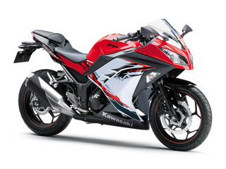 こゆき　NINJA250 ABS スペシャルエディション カウル一式 NINJA250 ABS スペシャル・エディション』スペック紹介: 2013年